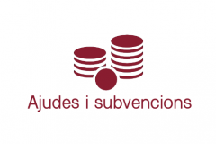 SUBVENCIONS I AJUTS